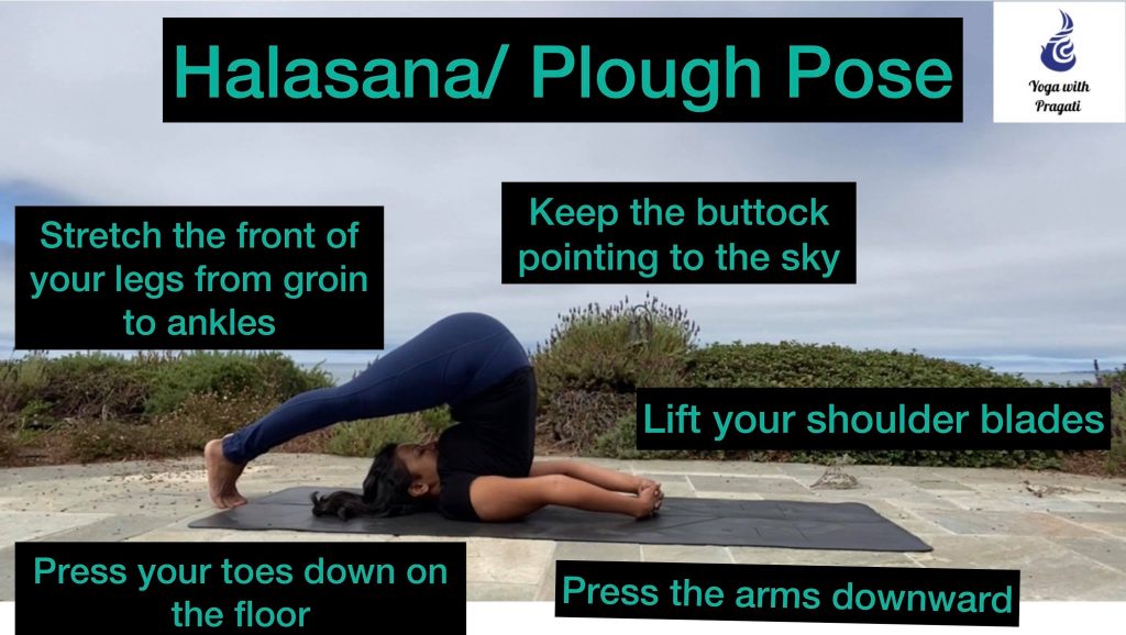 Halasana