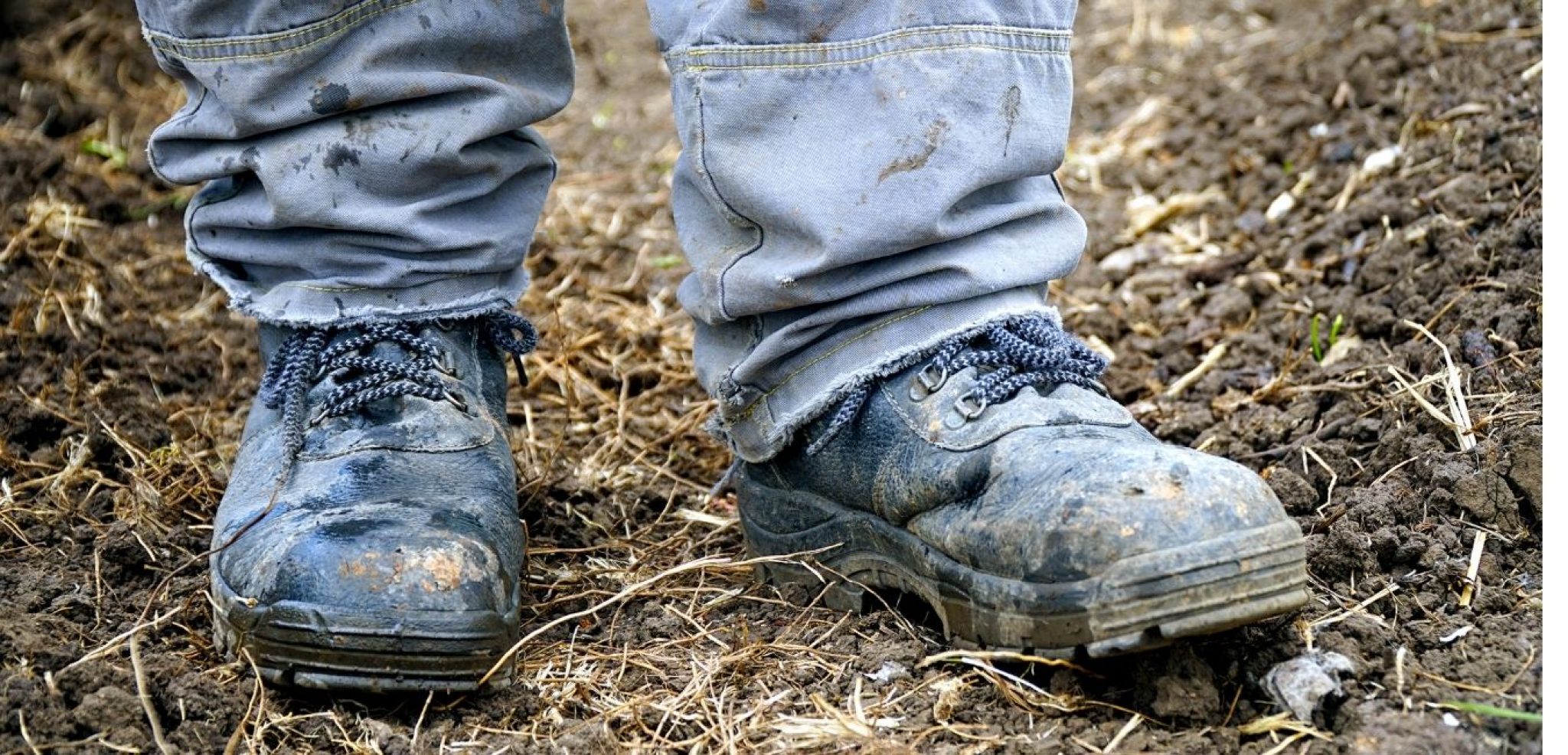 4 Best Shoes For Factory Work Get Relaxation While